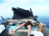 first sailfish in the tinny
